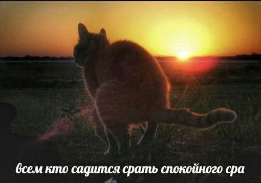 Всем кто садится спать спокойного сна