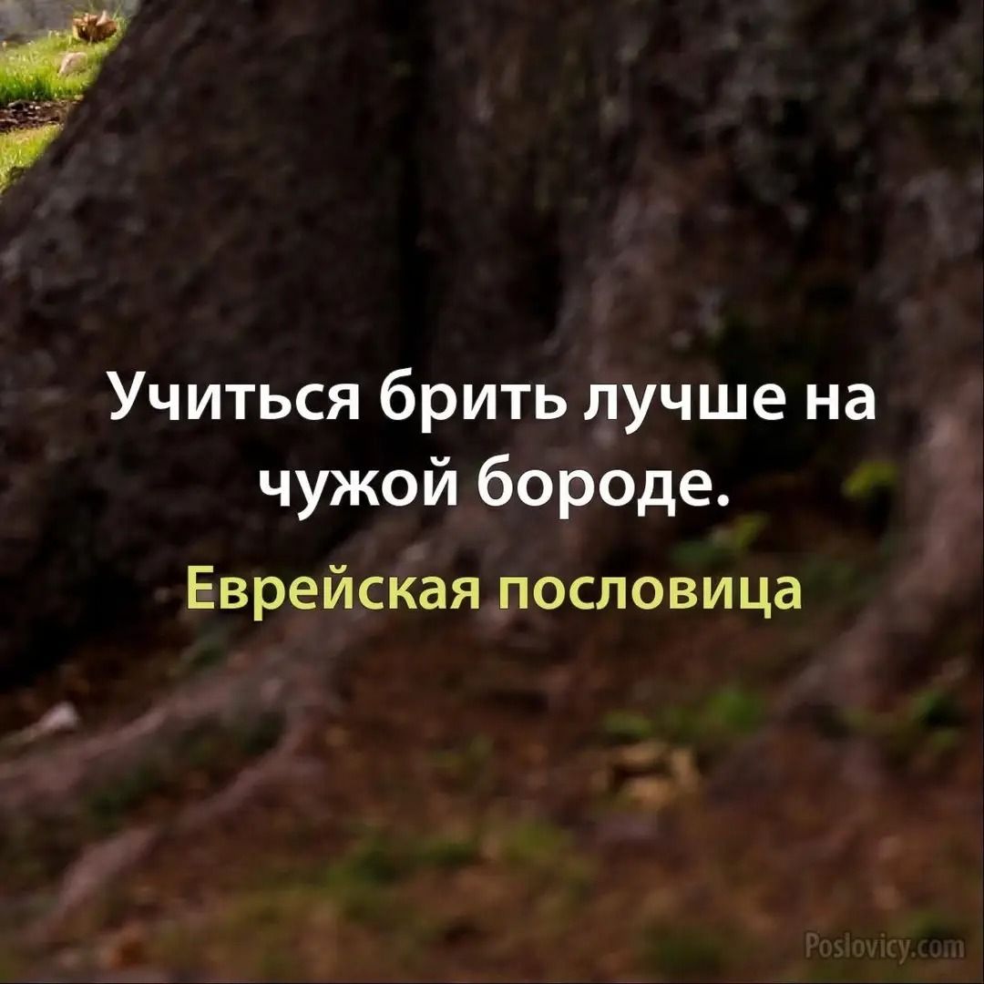Учиться брить лучше на чужой бороде. Еврейская пословица