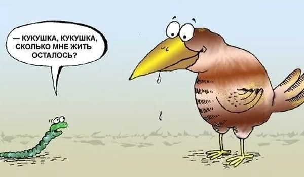 — Кукушка, кукушка, сколько мне жить осталось?