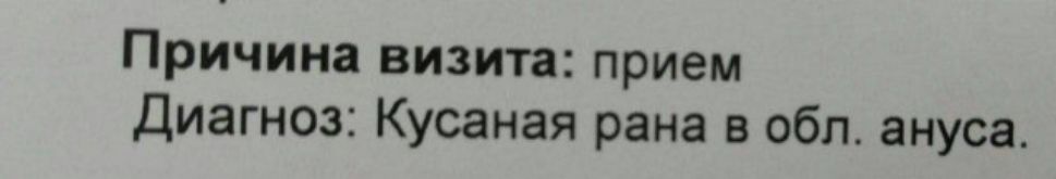 Причина визита: прием Диагноз: Кусанная рана в обл. ануса.