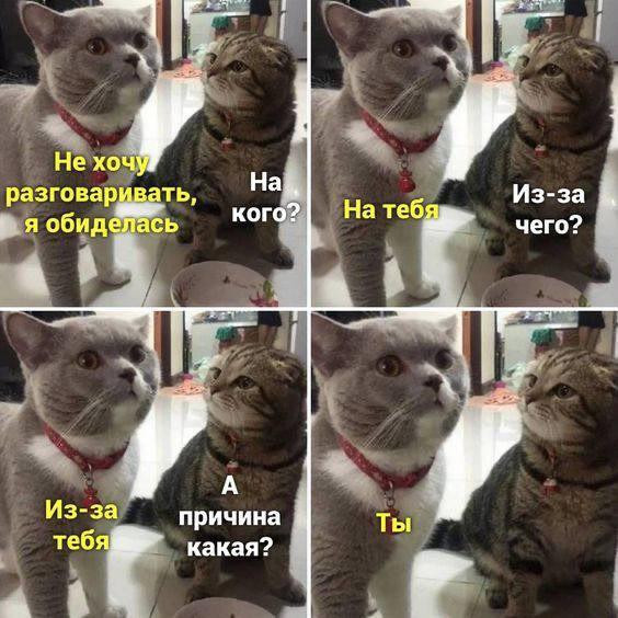 Не хочу разговаривать, я обиделась
На кого?
На тебя
Из-за чего?
А причина какая?
Ты
