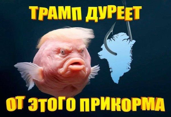 ТРАМП ДУРЕЕТ ОТ ЭТОГО ПРИКОРМА