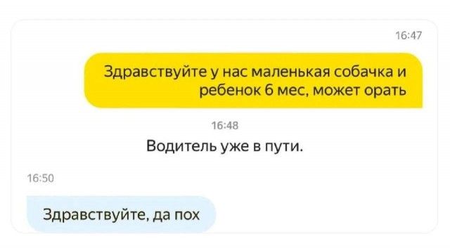 Здравствуйте у нас маленькая собачка и ребенок 6 мес, может орать
Водитель уже в пути.
Здравствуйте, да пох