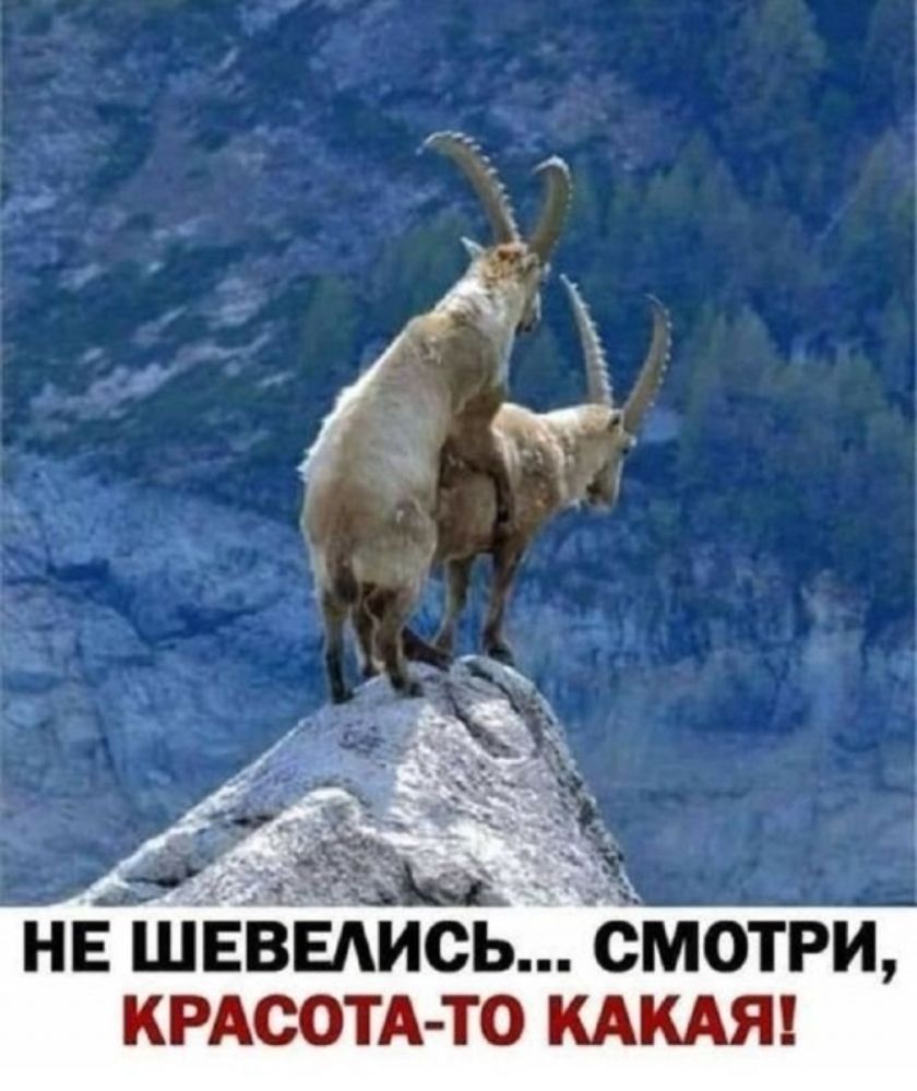 НЕ ШЕВЕЛИСЬ... СМОТРИ, КРАСОТА ТО КАКАЯ!