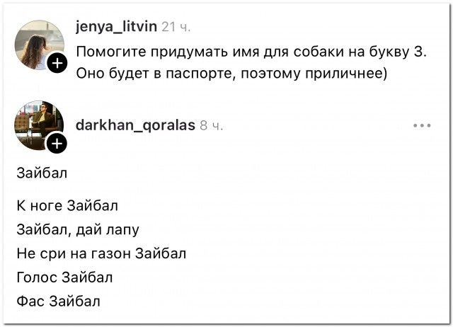 Помогите придумать имя для собаки на букву З. Оно будет в паспорте, поэтому приличнее)
Зайбал
К ноге Зайбал
Зайбал, дай лапу
Не сри на газон Зайбал
Голос Зайбал
Фас Зайбал