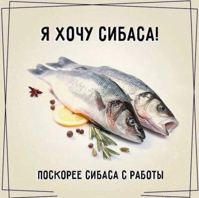 Я ХОЧУ СИБАСА! ПОСКОРЕЕ СИБАСА С РАБОТЫ