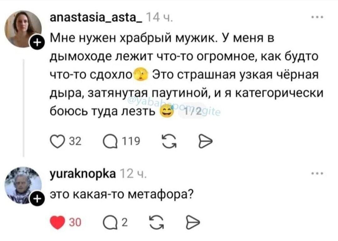 Мне нужен храбрый мужик. У меня в дымоход лежит что-то огромное, как будто что-то сошло. Это страшная узкая чёрная дыра, затянутaя пасть, и я категорически боюсь туда лезть