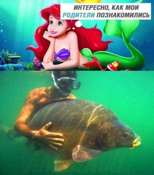 ИНТЕРЕСНО, КАК МОИ РОДИТЕЛИ ПОЗНАКОМИЛИСЬ