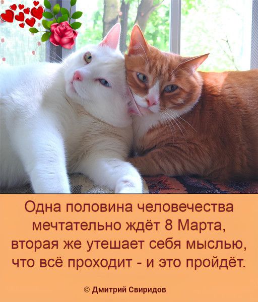 Одна половина человечества мечтательно ждёт 8 Марта, вторая же утешает себя мыслью, что всё проходит - и это пройдёт.