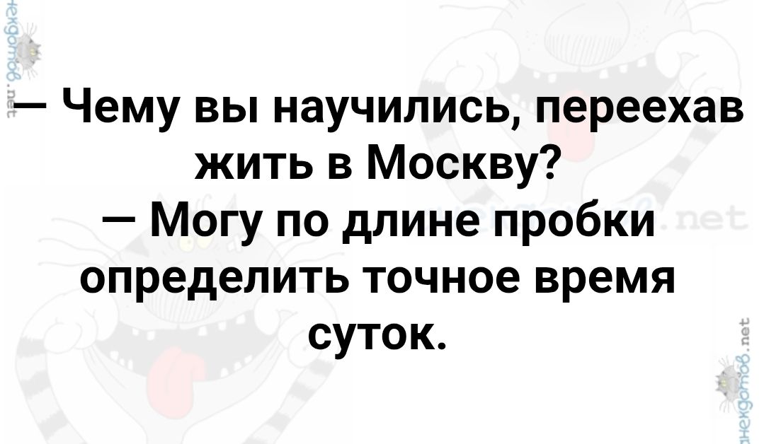 Чему вы научились, переехав жить в Москву? — Могу по длине пробки определить точное время суток.