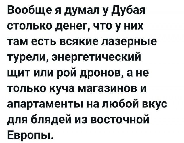 Вообще я думал у Дубая столько денег, что у них там есть всякие лазерные турели, энергетический щит или рай дронов, а не только куча магазинов и апартаменты на любой вкус для блядей из восточной Европы.