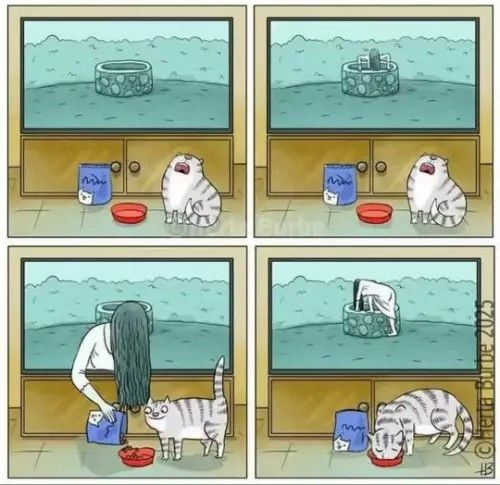 Комикс о коте в кухне возле мисок и мешка еды