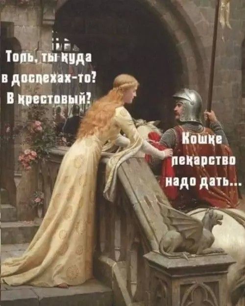 Топь, ты куда в доспехах-то? В крестовый? Кошке лекарство надо дать...