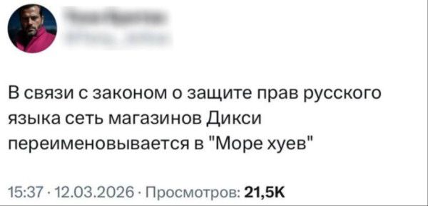 В связи с законом о защите прав русского языка сеть магазинов Дикси переименовывается в 