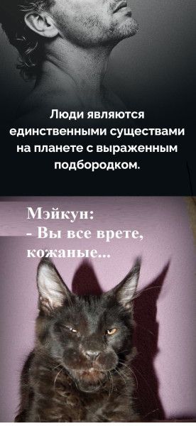 Люди являются единственными существами на планете с выраженным подбородком. Мэйкун: - Вы все врете, кожаные...