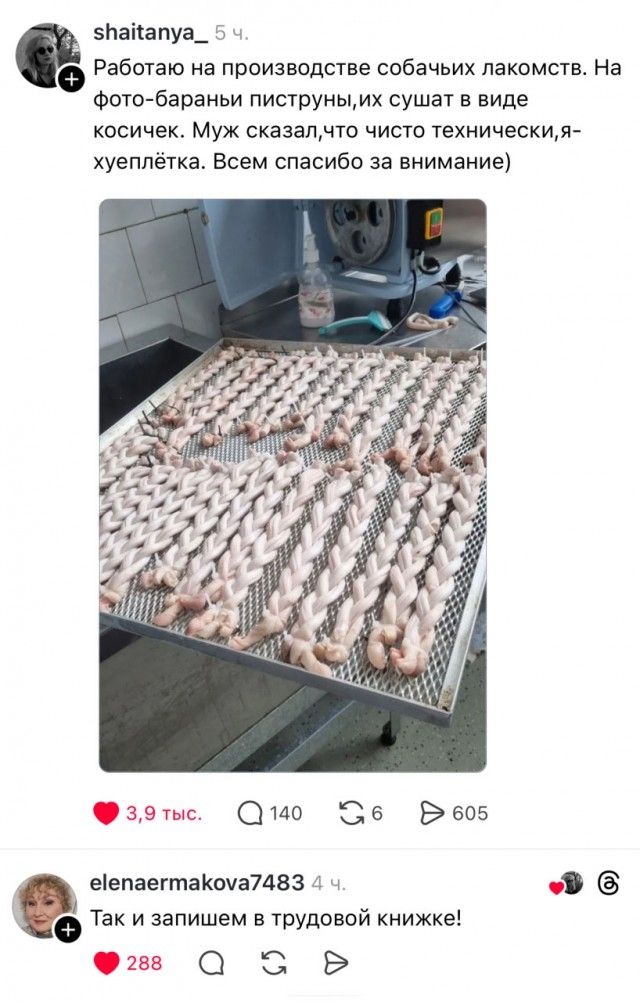 Работаю на производстве собачьих лакомств. На фото-бараньи пиструны, их сушат в виде косичек. Муж сказал, что чисто технически, я-хуеплётка. Всем спасибо за внимание) Так и запишем в трудовой книжке!