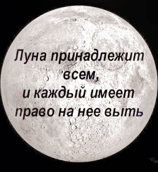 Луна принадлежит всем, и каждый имеет право на нее выть