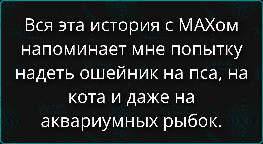 Вся эта история с МАХом напоминает мне попытку надеть ошейник на пса, на кота и даже на аквариумных рыбок.