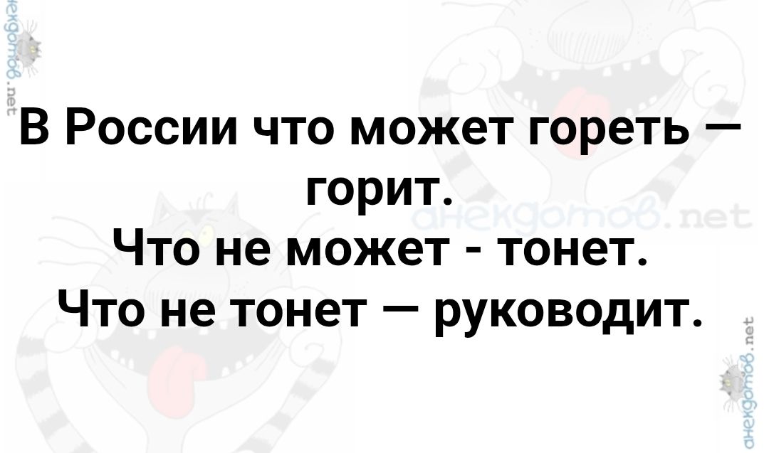 В России что может гореть — горит. Что не может — тонет. Что не тонет — руководит.