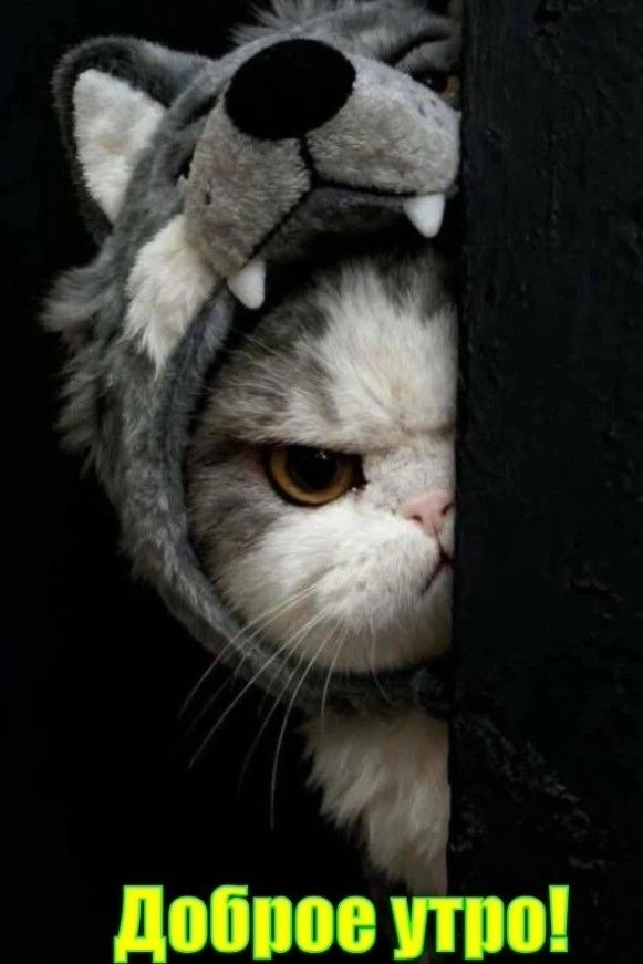 Доброе утро!