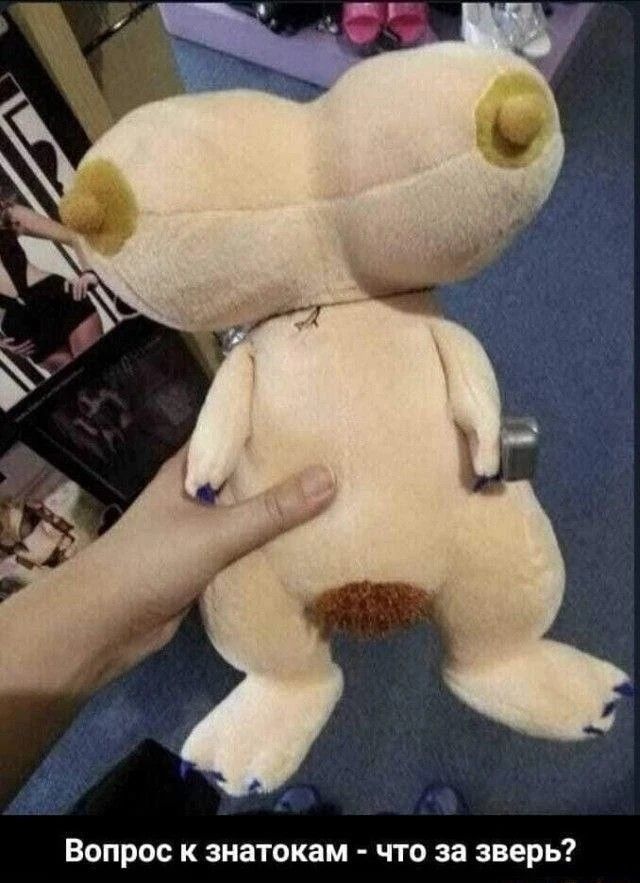 Вопрос к знатокам - что за зверь?