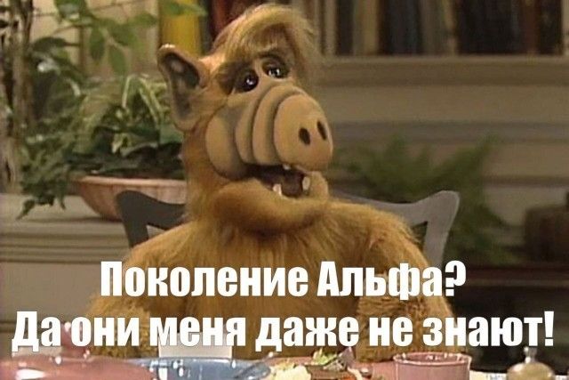 Поколение Альфа? Да они меня даже не знают!