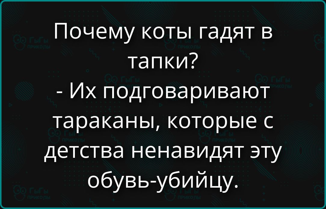 Почему коты гадят в тапки? - Их подговаривают тараканы, которые с детства ненавидят эту обувь-убийцу.