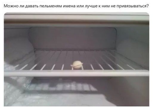Можно ли давать пельменям имена или лучше к ним не привязываться?