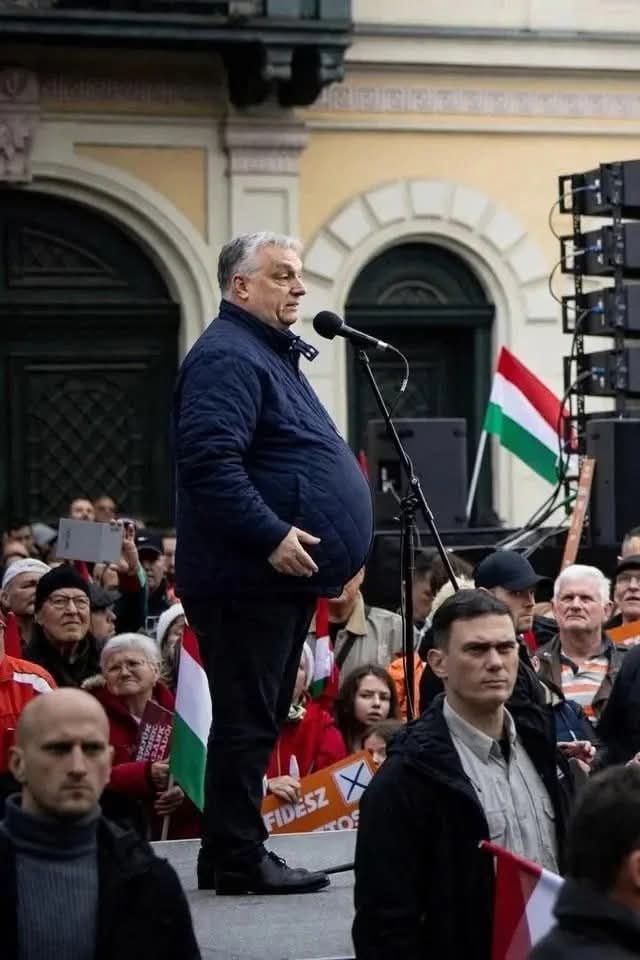 Мужчина выступает перед толпой, на заднем плане видны флаги Венгрии и плакаты с надписью 