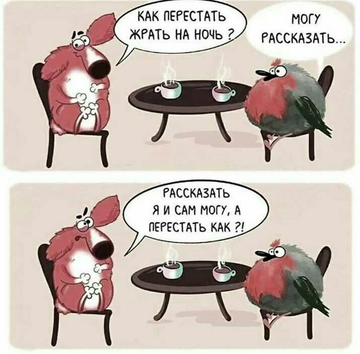 КАК ПЕРЕСТАТЬ ЖРАТЬ НА НОЧЬ НОГУ РАССКАЗАТЬ РАССКАЗАТЬ Я И САМ МОГУ А ПЕРЕСТАТЬ КАК