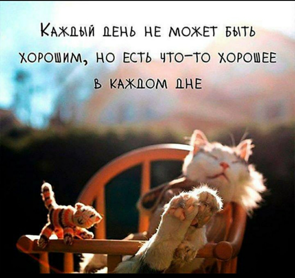 Кюкцыи ДЕНЬ не МОЖЕТ выть хорошим но ЕСТЬ что то хорошее д в КАЖДОМ инга