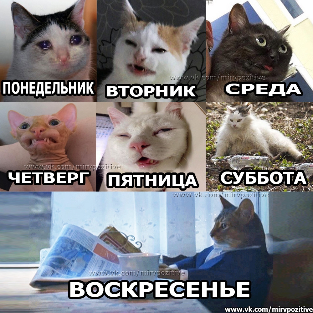 ммм К сот тігчроиісіче