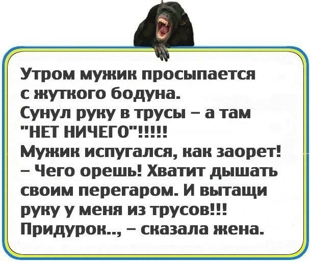 Утром мужик просыпается с жуткого бодуна Сунул руку в трусы а там НЕТ НИЧЕГО Мужик испугался как заорет Чего орешь Хватит дышать своим перегаром И вытащи руку у меня из трусов Придурок сказала жена