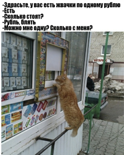 Чаппи В 88 И одипш ФПМИ етот ш ВПШ ППШ спина МММ _ гу