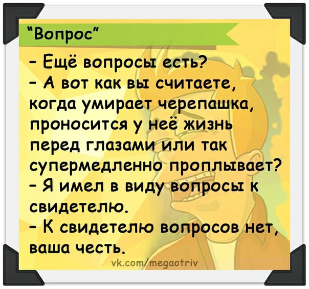 Вопрос Ещё вопросы есть А вот к ы считаете ает черепашка я у неё жизнь мзами или так _ Ален проплывает вл 3 ви у вапросы к етелю аК свидетелю вопросов нет ваша честь Мясо ттеуаоТгіу