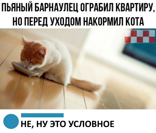 ПЬЯНЫЙ БАРНАУЛЕЦ ОГРАБИЛ КВАРТИРУ НП ПЕРЕД УХПДПМ НДКОРМИЛц КОТА не ну это условное