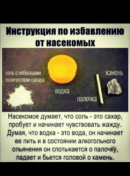 БШШЩИЯ по избавлению П ПЗВВИПМЫХ пппь с небольшим камень КПЛИЧЫТШЛ 03 7 _ водка 555 ПЯЛПЧКЭ Насекомое думает что сопь это сахар пробует и начинает чувствовать жажду Думая что водка это вода он начинает ее пить и в состоянии алкогольного опьянения он спотыкается о папочку падает и бьется головой о камень