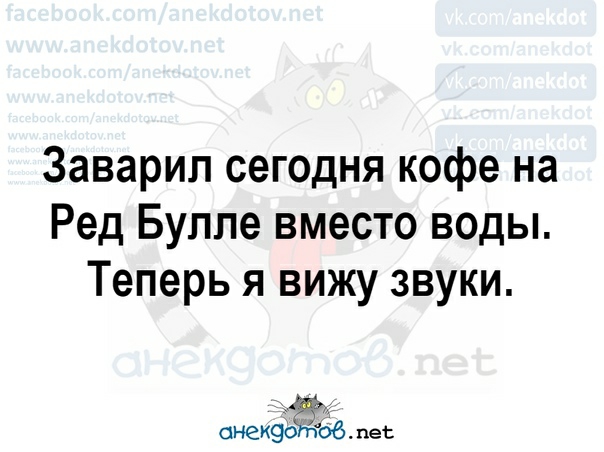 Заварип сегодня кофе на Ред Булле вместо воды Теперь я вижу звуки СНЕЖЭОЗЁБ пет
