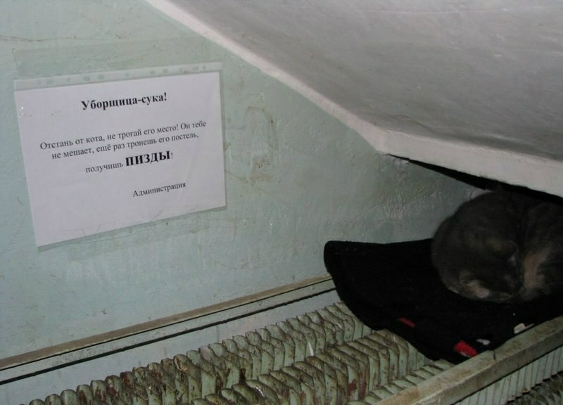 щ