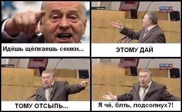 ТОМУ ОТСЫПЬ Я чё бпть подсолнух
