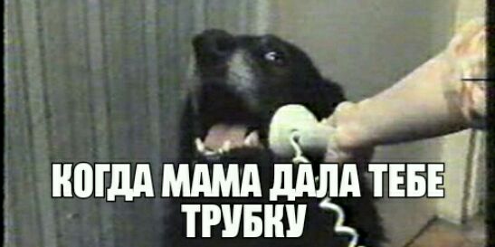 ногддмдмдддлд тввв трпвни