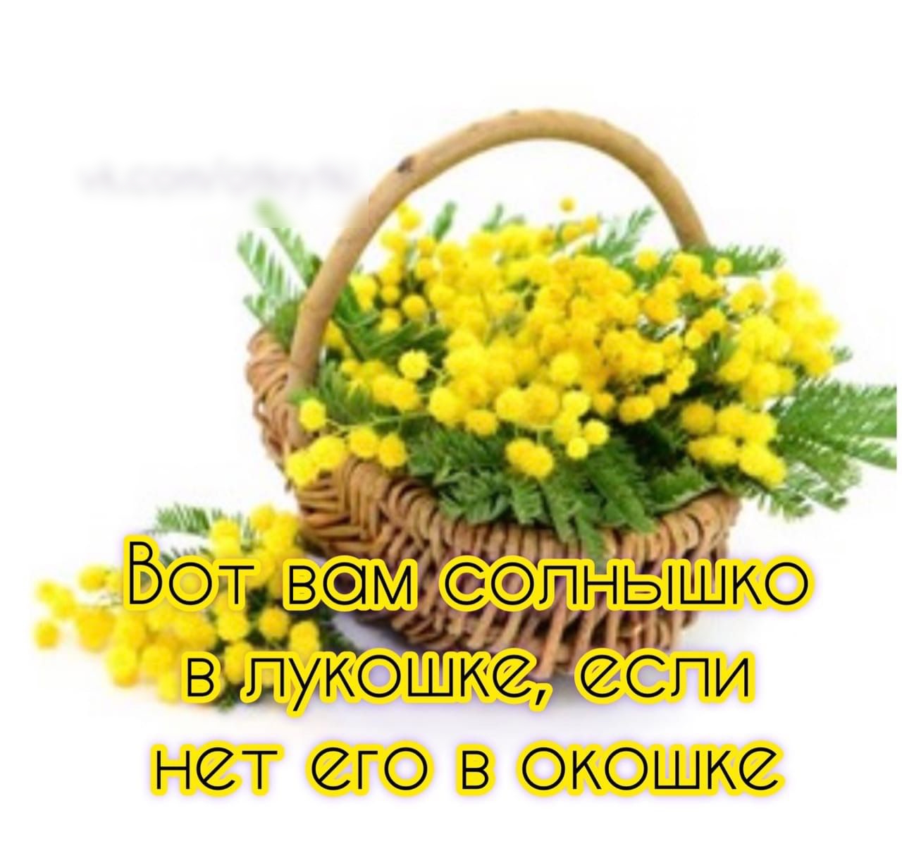 НТ ГО В ОКОШКЗ