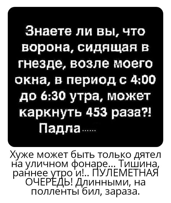 Знаете ли вы что ворона сидящая в гнезде возле моего окна в период с 400 до 630 утра может каркнуть 453 раза Падпа Хуже может быть только дятел на упичномф фона е Тишина раннееуёть ои УЛЁМЕТНАЯ ОЧЕР ЫДпинными на полленты бил зараза