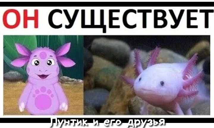 ОН СУЩЕСТВУЕТ