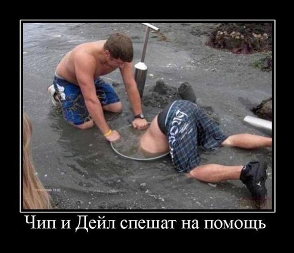 а Чрш и Дейл спешат на помощь