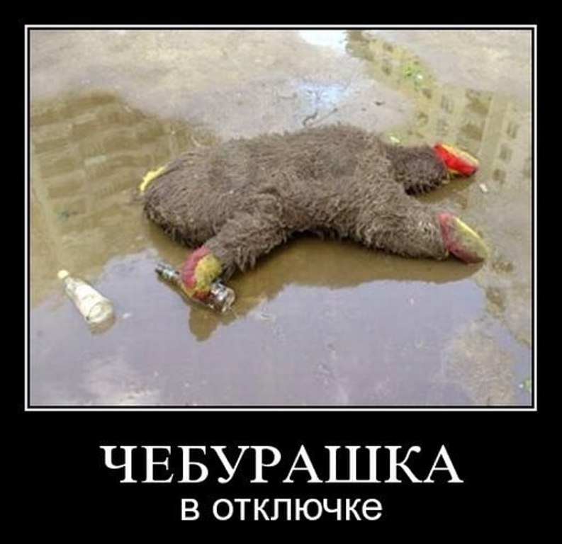 ЧЕБУРАШКА В ОТКЛ ЮЧ ке
