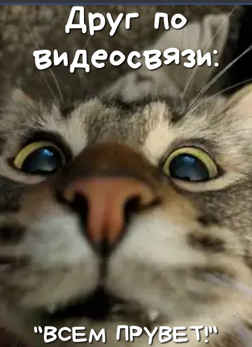 всеміР