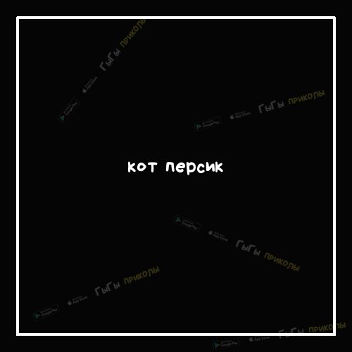 кот персик