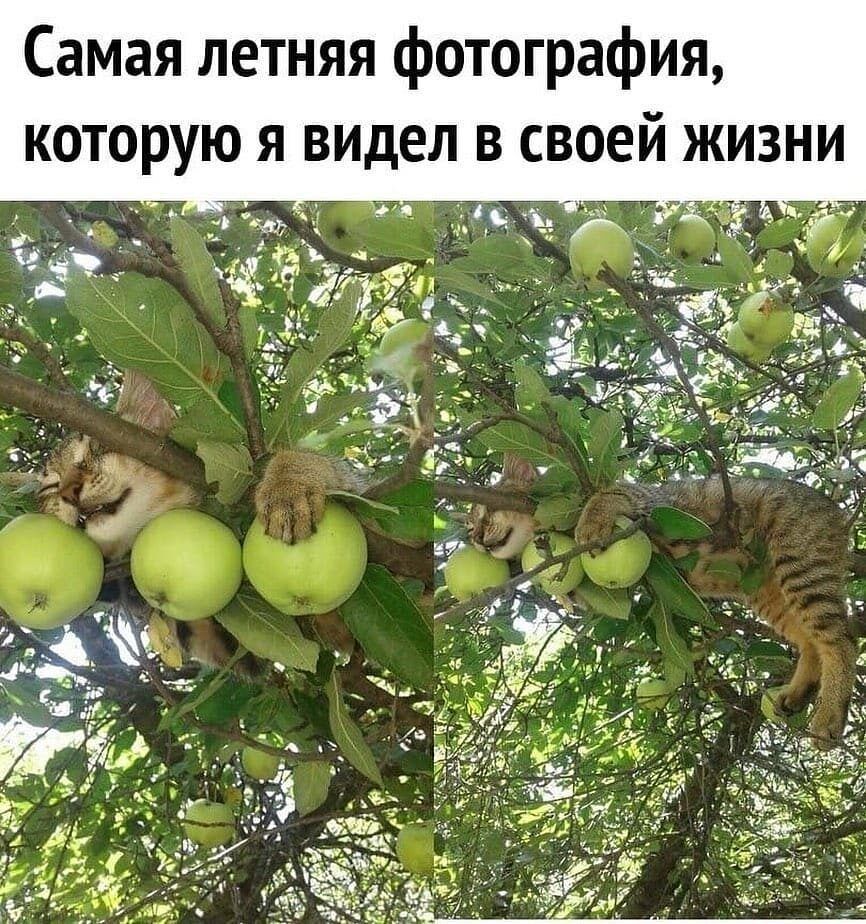 Самая летняя фотография й жизни