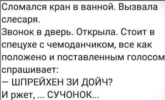 Сломался кран в ванной Вызвала слесаря Звонок в дверь Открыла Стоит в спецухе с чемоданчикем все как положено и поставленным голосом спрашивает ШПРЕЙХЕН ЗИ ДОЙЧ И ржет СУЧОНОК